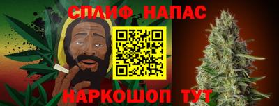 a pvp Дубна