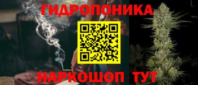 a pvp Дубна