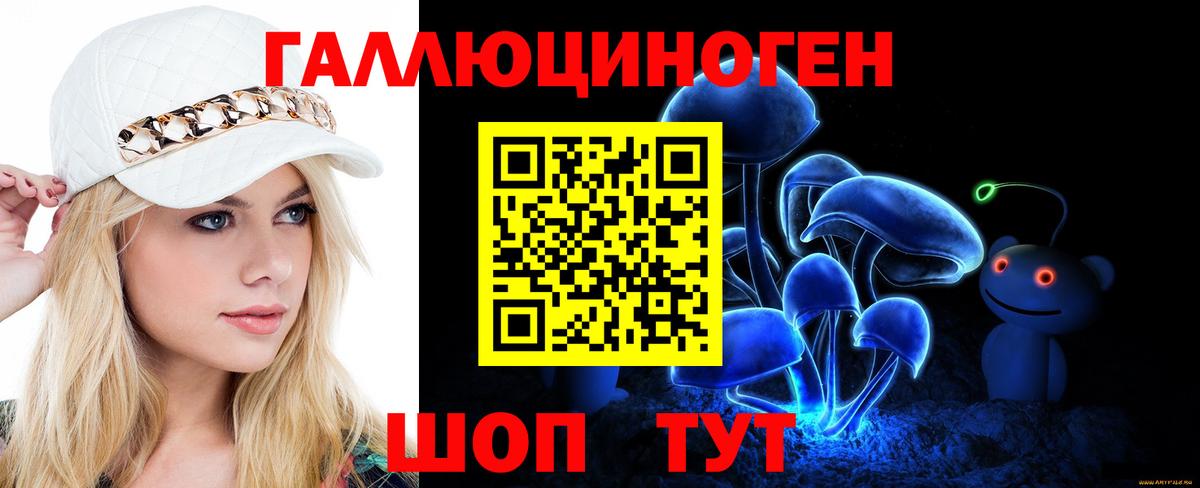Псилоцибиновые грибы Psilocybine cubensis Нижнекамск